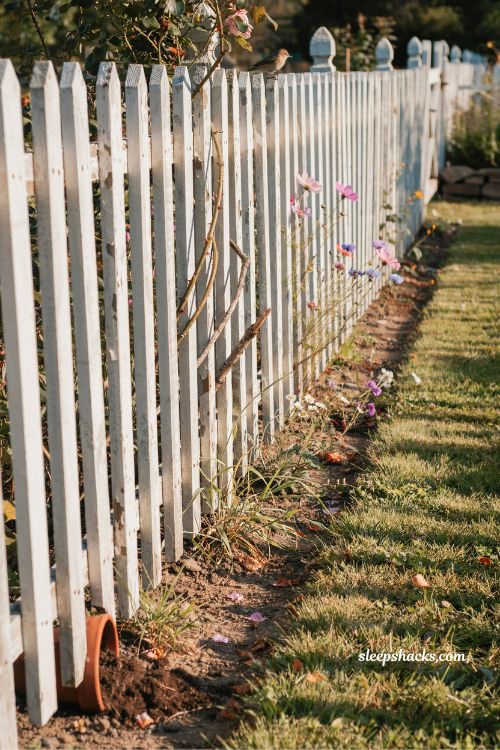 weathered white picket fence peeling paint rustic cottage garden ideas with wildflowers and vintage farmhouse charm
