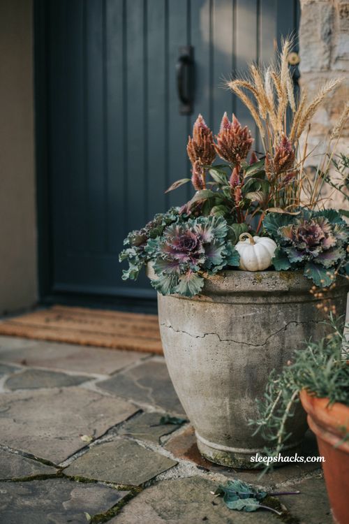 Aged concrete planter filled with ornamental kale celosia and feathery grasses for fall outdoor decor