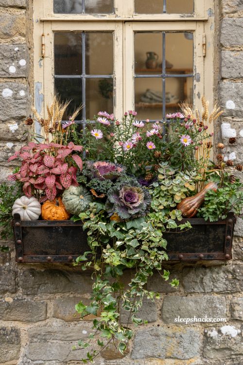 Charming window box fall decor ideas with kale pumpkins and pink blooms