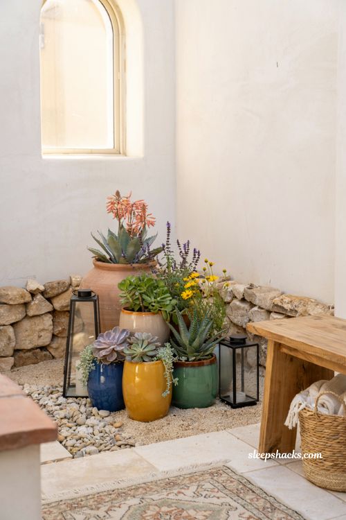 Colorful backyard ideas with succulents in bright glazed pots and modern rock garden