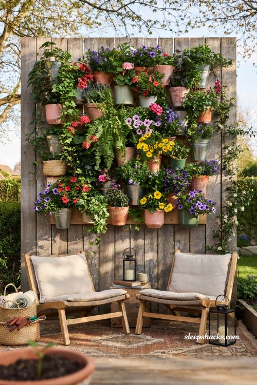 Colorful backyard ideas with vertical garden fence and vibrant flowering wall