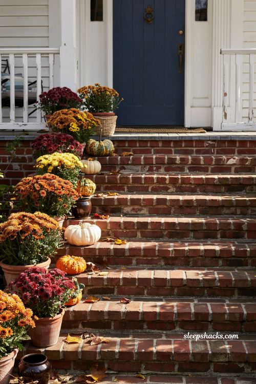 Creative outdoor fall decor ideas decorating porch steps with burgundy mums and heirloom pumpkins