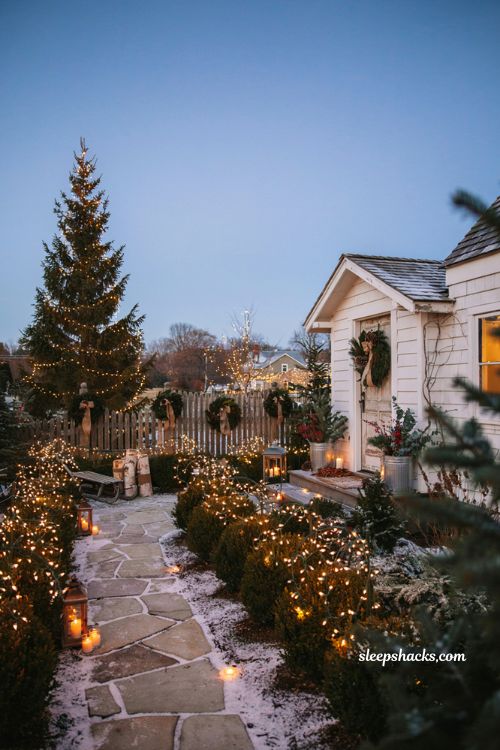Diy Christmas yard decorations with net lights covering bushes and garden shrubs