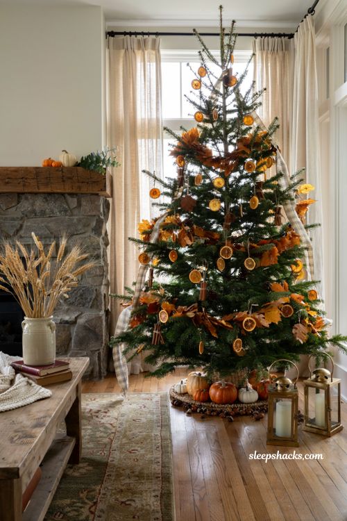 Fall christmas tree ideas with dried orange slice ornaments and cinnamon bundles in a cozy farmhouse living room
