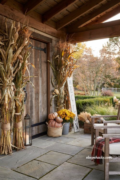Fall patio decor with tall cornstalks framing a cozy autumn entrance