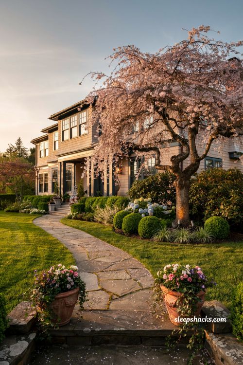 Front lawn landscaping ideas with statement weeping cherry tree and curved stone walkway