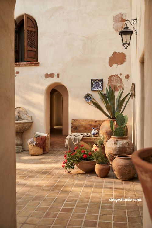 Mexican patio blueprint with clustered terracotta pots and lush courtyard plants