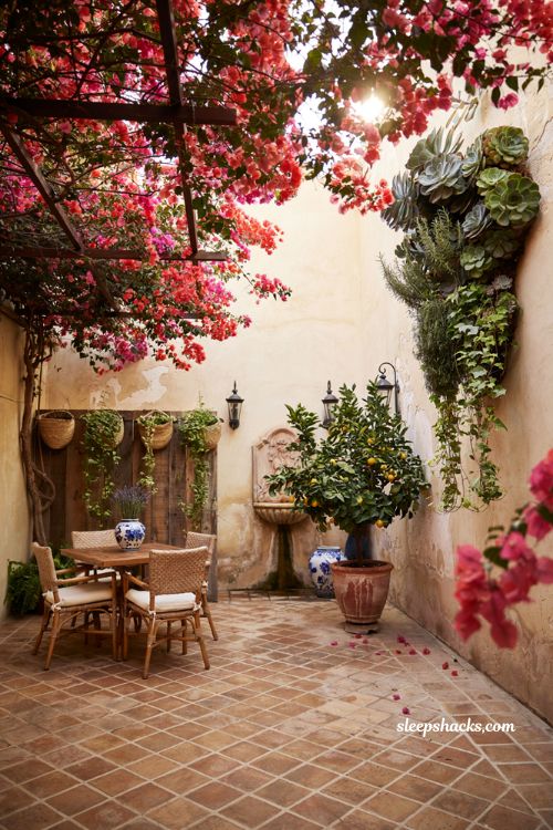 Mexican patio blueprint with vertical garden wall and blooming bougainvillea courtyard