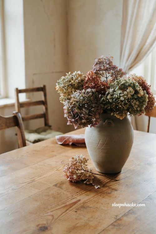 dried hydrangeas in ceramic vase on rustic oak dining table for free fall decor alt text