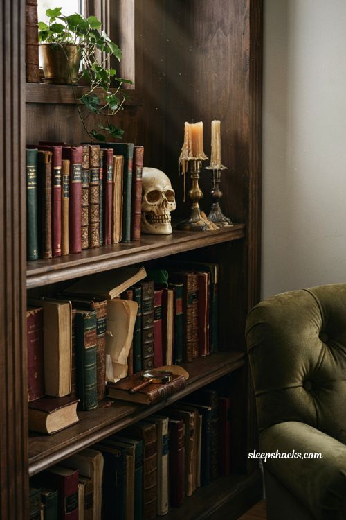 gothic halloween decor with a ceramic skull on a dark academia bookshelf