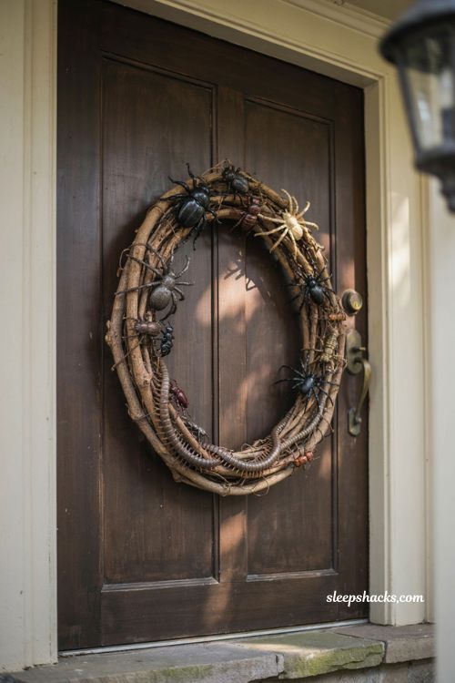 Creepy crawlies bug wreath spiders beetles Halloween front door decor