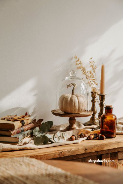 Cute pumpkin decorating ideas with elevated pedestal pumpkin under a glass cloche for elegant fall decor