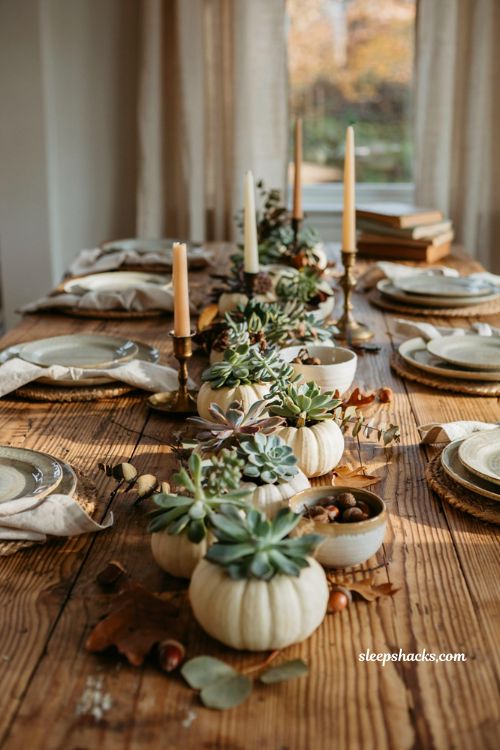 Cute pumpkin decorating ideas with succulent topped mini white pumpkins for elegant fall centerpiece