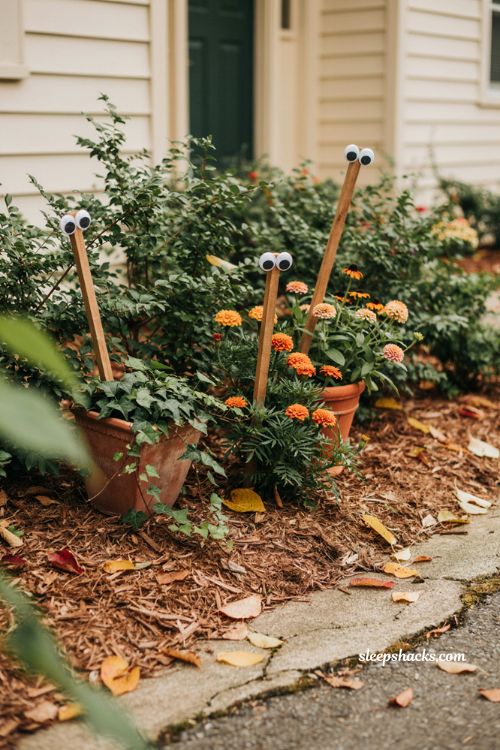 Easy Halloween googly eye garden markers peeking from a cozy autumn flower bed