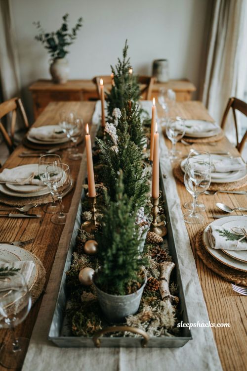 Easy christmas centerpieces for table with living potted evergreen trees in a galvanized tray