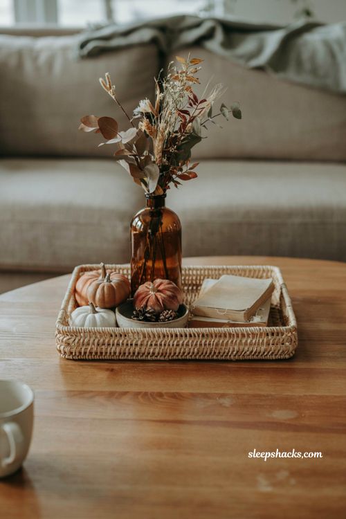 Fall coffee table decor tray with clustered velvet ceramic and terra cotta pumpkins
