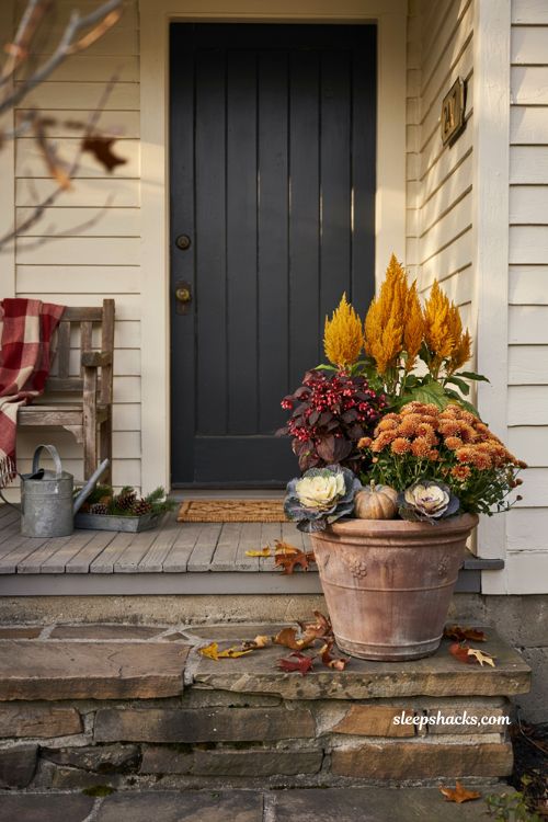 Fall flower pot with mums coral bells celosia and ornamental cabbage