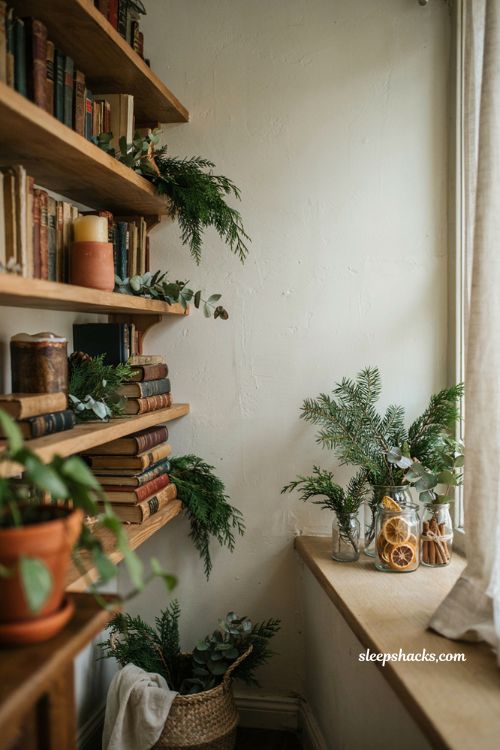 Fresh cedar pine and dried orange holiday greenery styled on a bookshelf and window sill for christmas