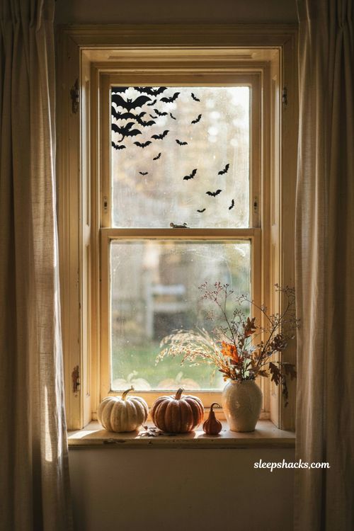 Halloween bat window display with black flying bat silhouettes and cozy autumn decor