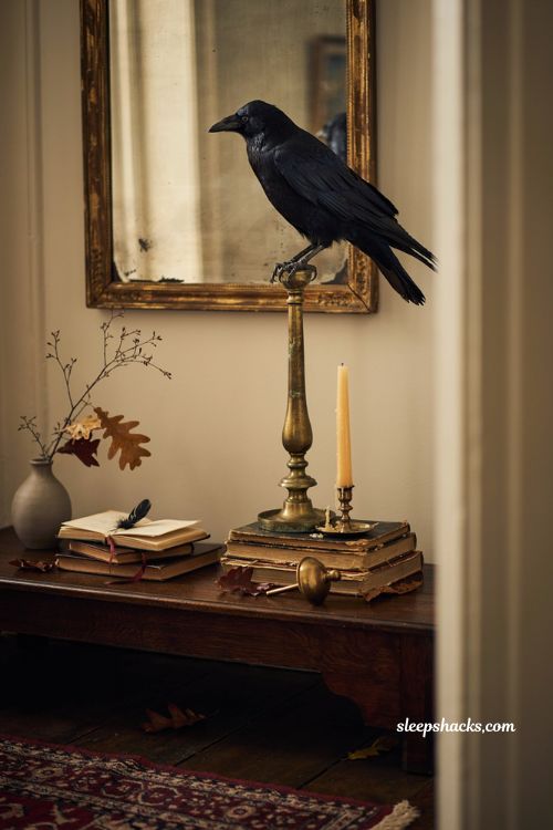 Halloween entryway decor with a realistic crow antique books and candles
