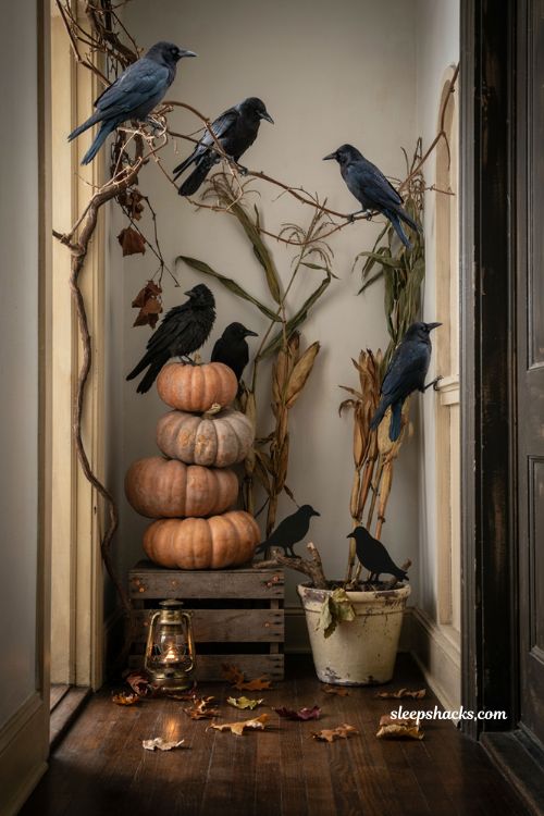 Halloween entryway decor with crows pumpkins dried vines and autumn branches