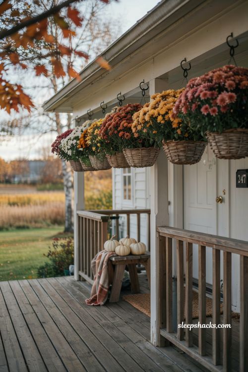 Hanging baskets with trailing mums for a cozy fall front porch 