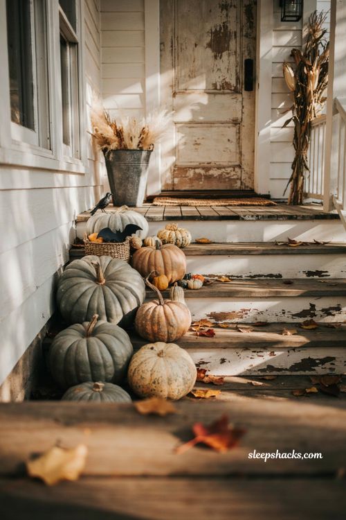 Heirloom pumpkins in muted green blue and tan for farmhouse Halloween decor