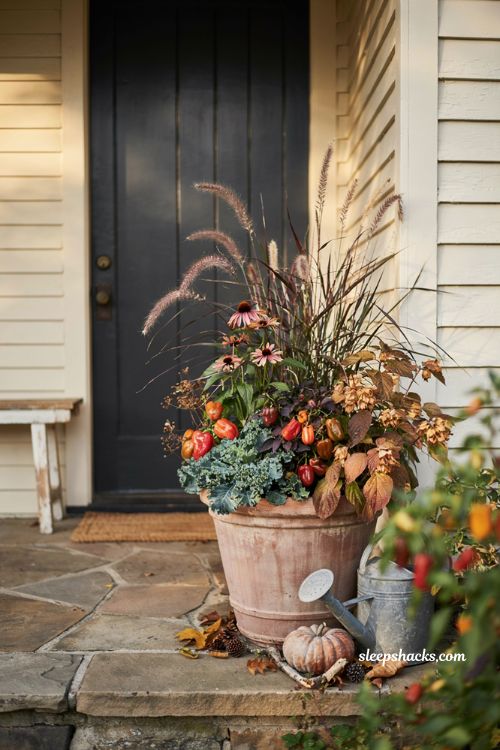 Late fall flower pot with coneflower ornamental peppers kale and fountain grass