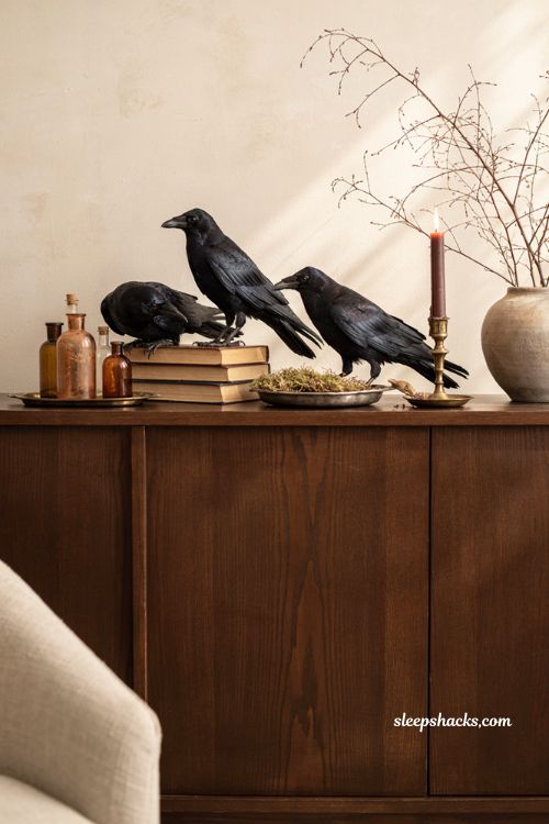 Modern gothic Halloween decor with ravens apothecary bottles dried moss and books