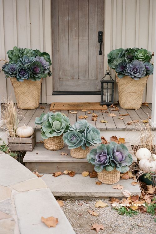 Ornamental kale and cabbage in bushel baskets for a fall front porch 
