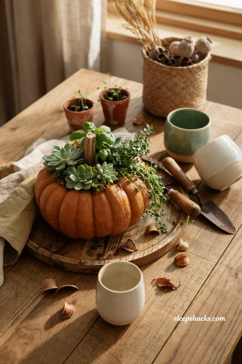 Pumpkin centerpieces fall with a repurposed pumpkin planter and succulent garden style