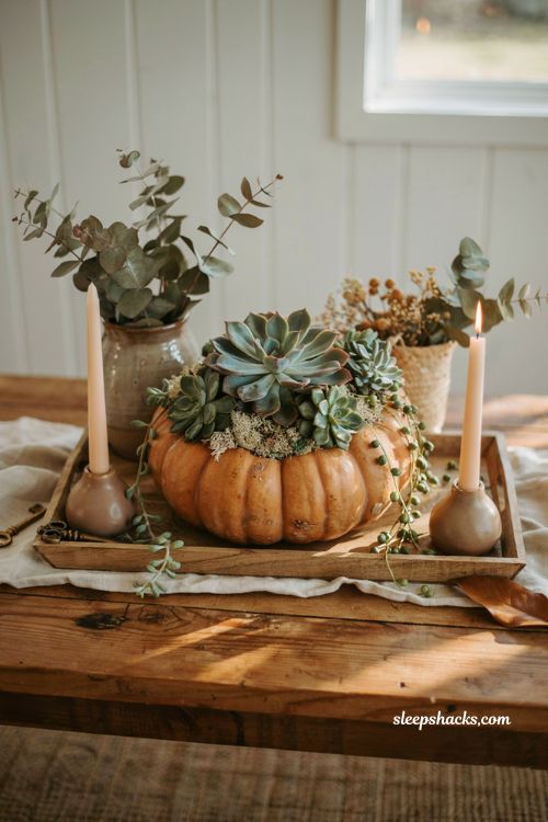 Pumpkin centerpieces fall with a thriller filler spiller succulent pumpkin arrangement