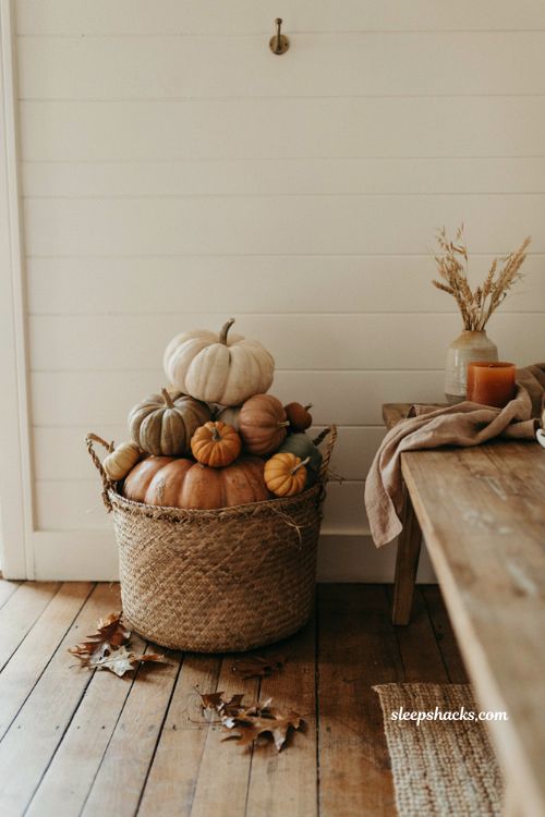 Pumpkin filled fall basket with neutral pumpkins rustic wicker and harvest decor