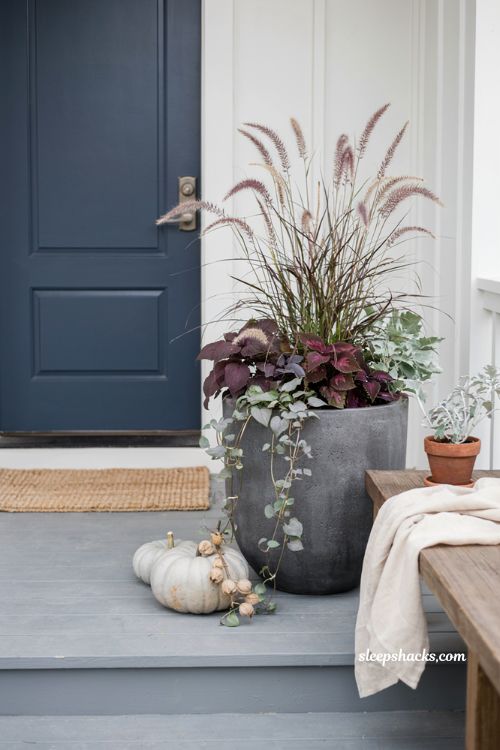 Purple and silver fall planter with fountain grass coleus and sweet potato vine