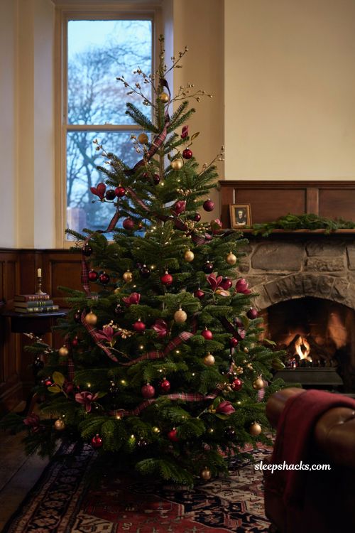 Ralph Lauren Christmas tree with gold berry picks tartan ribbon and velvet ornaments 