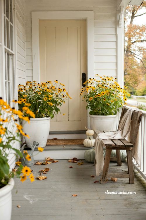 Rudbeckia in classic white planters for a bright fall front porch 