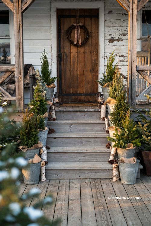 Rustic christmas front porch with galvanized buckets filled with mini evergreen trees