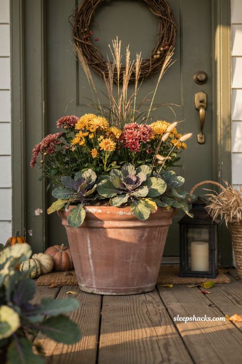 Seasonal fall planter with ornamental kale mums and grasses for cozy entryway decor