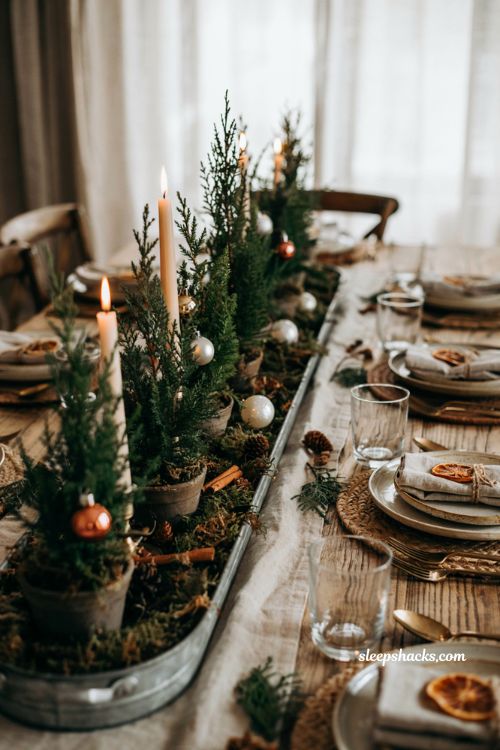Simple christmas centerpieces for table with tiny potted evergreen trees in a galvanized tray