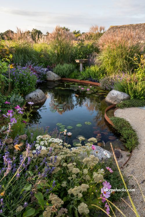 Small natural pool surrounded by pollinator garden with native flowers and ornamental grasses