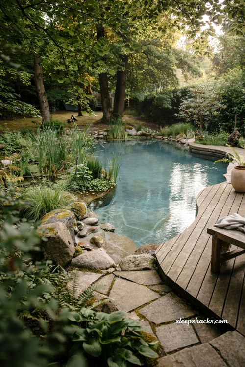 Small natural pool with wetland plants boulders and eco friendly backyard design