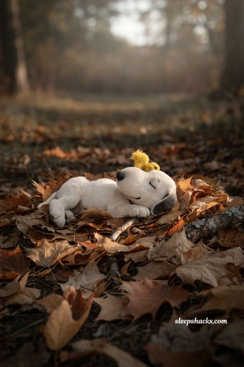 Snoopy sleeping in autumn leaves with Woodstock cozy fall wallpaper