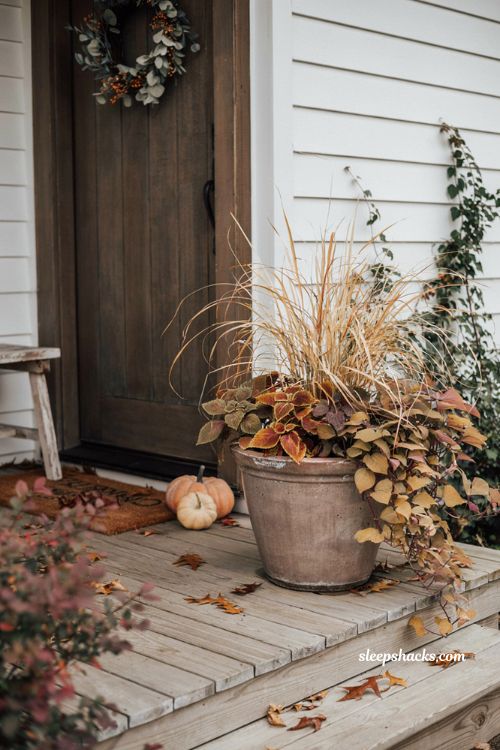 Thriller filler spiller fall planter with ornamental grass coleus and sweet potato vine 