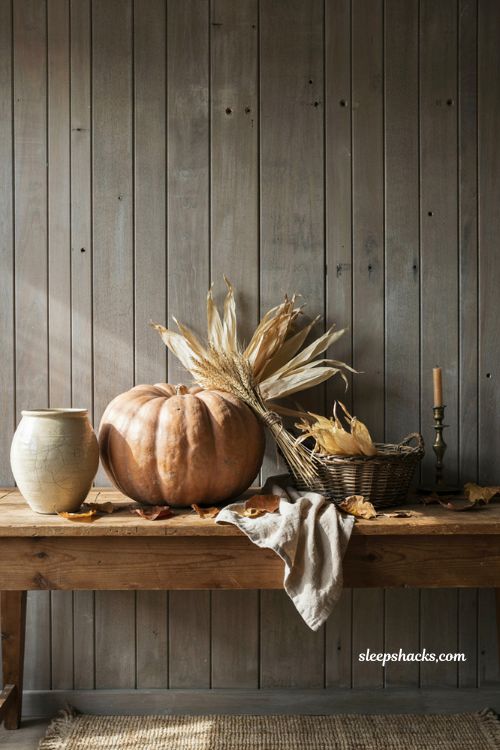 Vintage terra cotta pumpkin decor with dried corn husks and farmhouse harvest styling