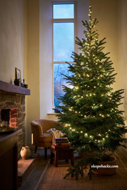 Warm white lights on a Ralph Lauren Christmas tree in a cozy lodge living room 