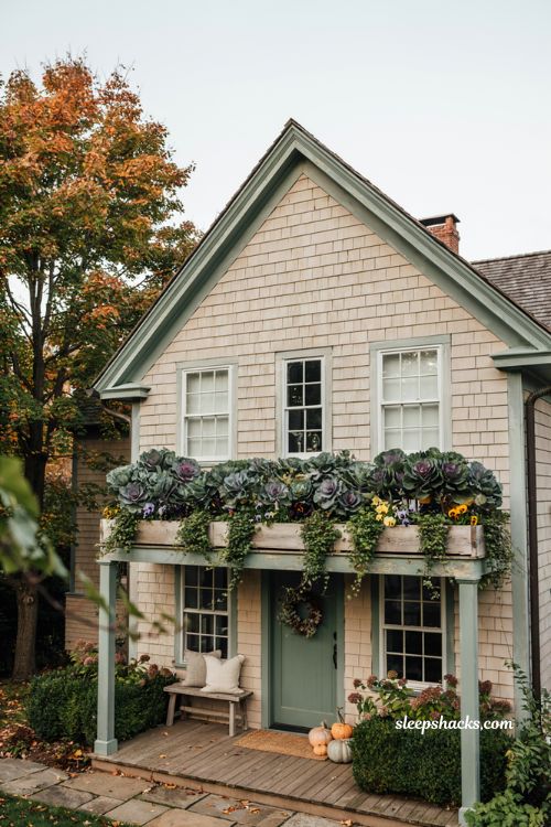 Window boxes with kale ivy and pansies for a fall farmhouse porch 