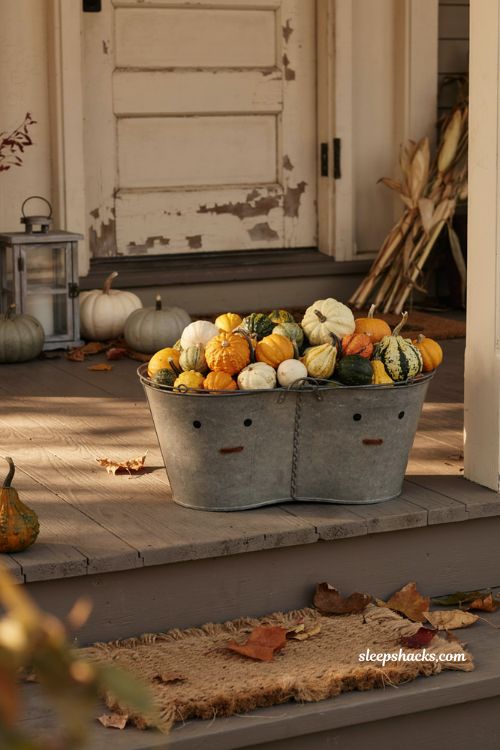 Wire basket filled with colorful gourds for charming farmhouse fall decor 