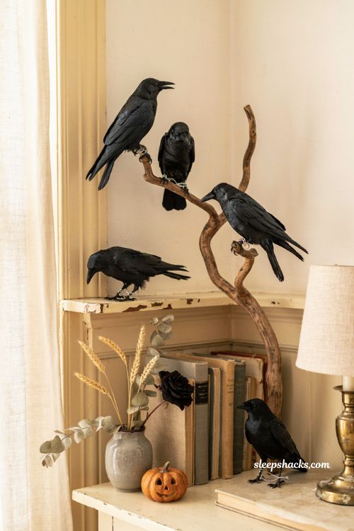 Wired on black crows perched on branches for cheap Halloween decor