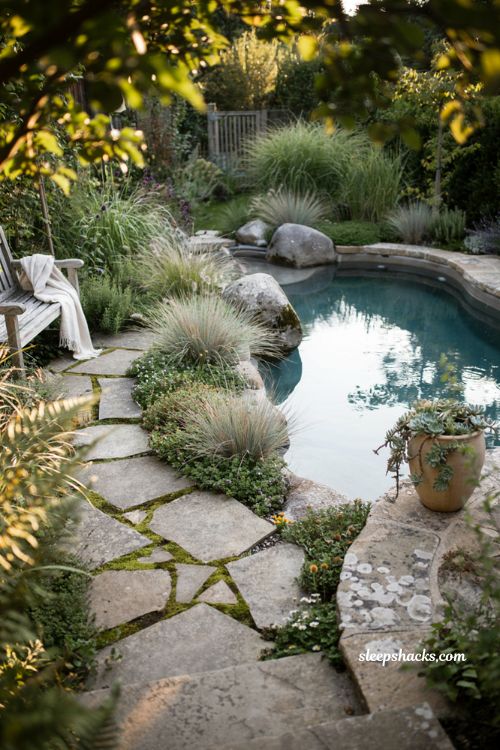 natural oasis small plunge pool ideas with layered greenery and boulder landscaping for backyard