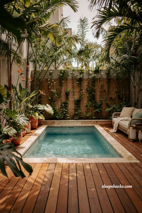 tropical small plunge pool ideas with palm trees warm wood decking and backyard resort style